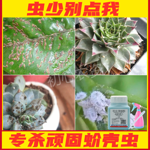 唯爱诺一淘宝多肉白色虫子药植物多肉虫剂根粉蚧介壳虫疥虫多肉虫药