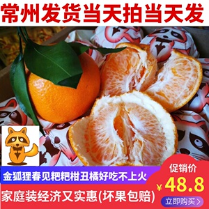 金狐狸春见耙耙丑橘丑柑不知火 上嘉果业5斤家庭裝江浙沪皖包邮