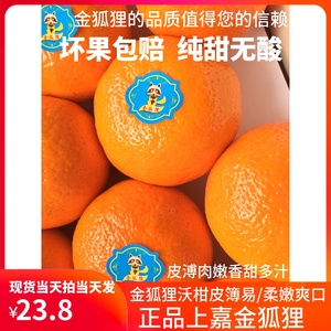 金狐狸春见武鸣沃柑新鲜水果当季5斤蜜桔橘子沙糖桔皇帝贡柑