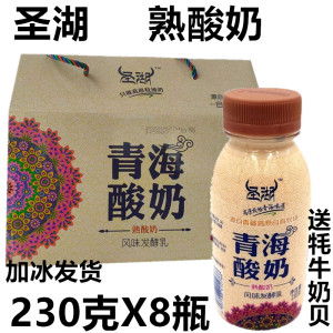 圣湖酸奶熟酸奶游牧风味整箱230g*8瓶装 青海老酸奶 pe瓶包邮
