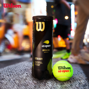 Wilson威尔胜官方美网法网上海大师赛比赛级多场地网球配件3只装