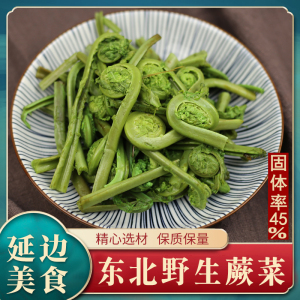 黄瓜香广东菜荚果蕨纯野东北蕨菜山野菜 东北野生山菜1000g 包邮
