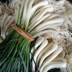 乔头新鲜荞头腌制