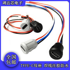 Type-C母座2P注胶直压式台灯全圆充电口DIY电动车汽车USB C连接器