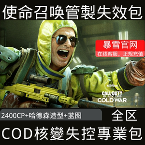 pc暴雪cod管製失效专业包使命召唤17哈德森造型冷战cp全区服代充