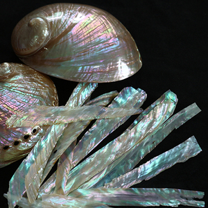 真贝壳片条/进口澳洲白鲍鱼薄片/螺钿片/漆画镶嵌/工艺雕刻装饰