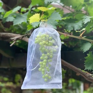 10个网纱袋防鸟防虫防蚊蝇水果树果蔬套袋透气透光白色套蔬菜套袋