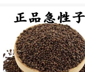 中药材 急性子 凤仙花子 指甲花 籽 指甲花 中草药 500克包邮