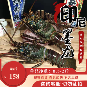 墨龙印尼正关进口冰鲜大龙虾拍前联系客服