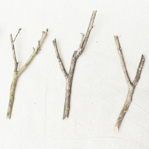 分叉干树枝diy手工天然干枝带皮有分枝装饰造型创意原木分杈枯枝