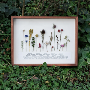 植物标本装饰画干花相框创意简约摆件节日礼物家居软装