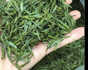 茶叶 名茶 桐城小花 安徽名茶 地方特产 野生茶 龙眠春翠 高山茶