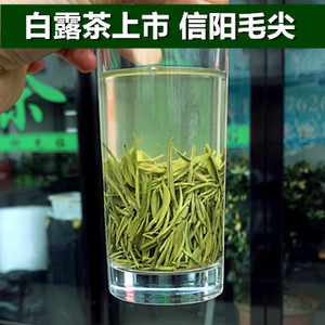 【白露茶】2023信阳毛尖高山绿茶茶叶散装浓香耐泡新茶秋茶250g