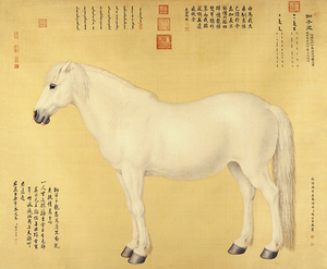 清郎世宁 白马 65.5x80绢斗方国画动物画字画国画装饰画高仿画芯