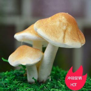 新色上市 仿真三脚蘑菇漫展展示 自己制作蘑菇发夹假青苔蘑菇