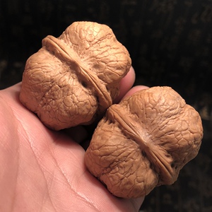 方尊元宝文玩铁核桃佛眼龍脊血舍利金蟾疙瘩包云石观音妖塔羊头蟾