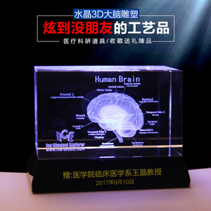 新款水晶大脑模型医学教学书房摆件实用道具立体内雕定做解剖示意