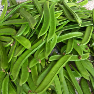 湖南本地新鲜嫩刀豆农家自种现摘现发长扁豆青刀把豆剁椒泡菜特产