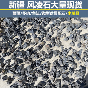 【新疆戈壁滩石头】新疆戈壁滩石头品牌,价格 阿里巴巴