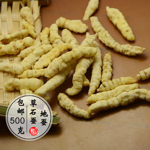 地蚕无硫白虫草参草石蚕干货中药材泽兰根地虫地葫芦地牯牛500克