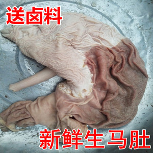 马肚子