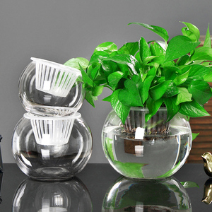 水培植物透明玻璃花瓶简约水养绿萝盆栽花盆圆球形小鱼缸器皿容器