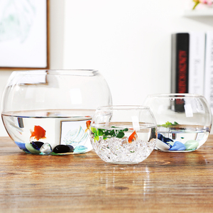 大号透明玻璃花盆 创意玻璃花瓶 绿萝风信子水培植物圆形插花瓶