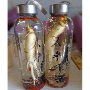 人参人长白山参酒泡酒材料新鲜人参鲜人参鹿茸枸杞人参酒瓶散装