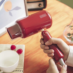 lowra rouge日本罗拉经典复古吹风机负离子护发低辐射家用电吹风