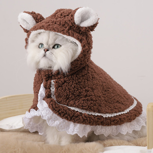 小猫的衣服冬季