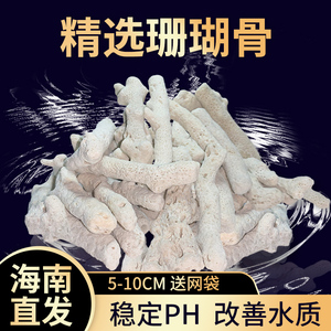 天然珊瑚骨滤材珊瑚石鱼缸过滤材料净化水质造景培菌稳定Ph值特价