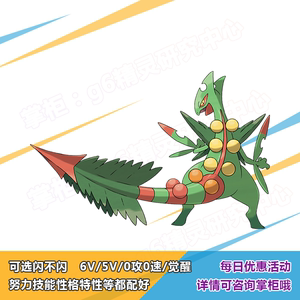 口袋妖怪精灵宝可梦究极日月xy宝石home梦特6v闪光 mega蜥蜴王