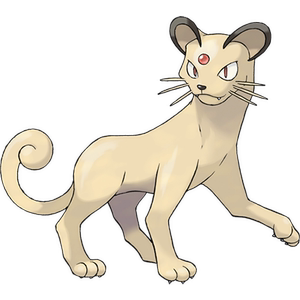 ns口袋妖怪 精灵宝可梦 lets go 皮卡丘/伊布 6v有闪光 猫老大