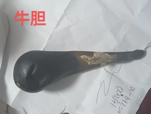 中药材牛苦胆干牛胆干自然阴干整个牛苦胆干牛胆粉 1个包邮