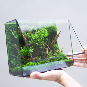 简约桌面摆件玻璃花房造景盆几何迷你雨林缸微景观微缩森林生态盒