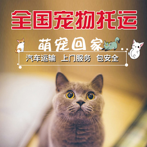 仙游 惠安 福州宠物托运 宠物运输 公路运输上门服务 送意外保险