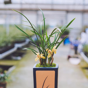 实时报价,价格行情,优质批发/供应等信息