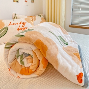 加厚牛奶绒毛毯盖毯双面绒毯子珊瑚绒床单单件学生单人宿舍午睡毯