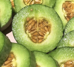 海南羊角蜜甜瓜