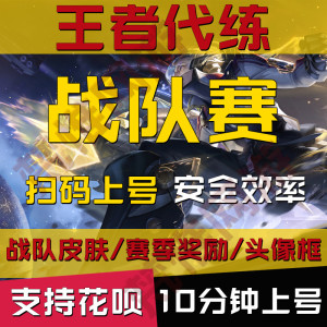 王者荣耀战队赛代打专属皮肤碎片头像框荣誉勋章玩成就玩练战令等