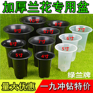 兰花盆 兰花专用盆 兰草盆 兰花塑料透气盆 大中小号兰花盆