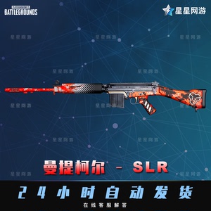 pubg绝地求生大炮cdk曼提柯尔slr兑换码吃鸡武器枪皮肤端游道具