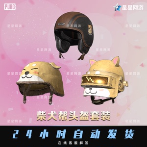 pubg绝地求生cdk柴犬帮头盔套装皮肤狗狗2级3级头吃鸡端游兑换码