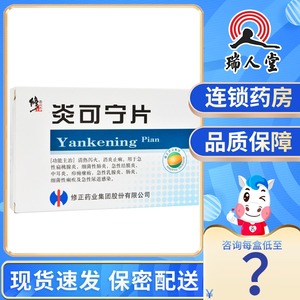 修正 炎可宁片 0.