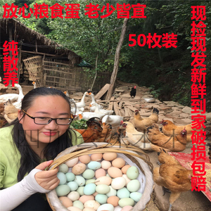 四川土鸡蛋农家散养新鲜月子蛋60枚包邮无激素农家草鸡蛋绿壳鸡蛋