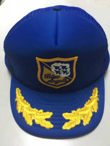 美国空军 蓝天使特技飞行表演队 军官版棒球帽_阿里巴巴找货神器