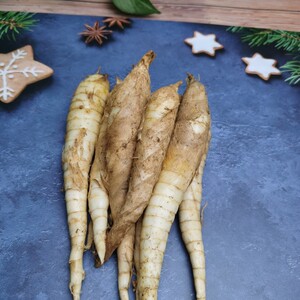 竹薯 冬粉薯 新鲜竹芋  凉粉薯 竹芋  清热下火包邮