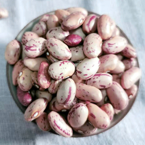 云南雀蛋豆500g新货奶花豆花生豆农家自种四季豆米干货花芸豆芸豆