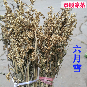 六月雪泰顺凉茶 一把 天然山草药 野生满天星 日日有温州山草药