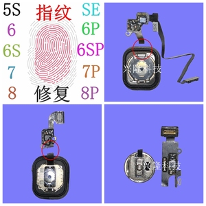 苹果iphone 5s se 6 6p 6s 6sp 7 7p 8 8p 指纹 排线 修复 维修